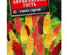 Книфофия Африканский гость смесь