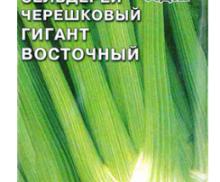 Сельдерей черешковый Гигант Восточный (Седек)