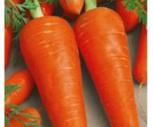 Морковь Рыжая невеста "Premium Seeds"