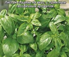 Базилик Зеленый сладкий крупнолистный Прян. Р. Цв/П (Аэлита) 0,2г