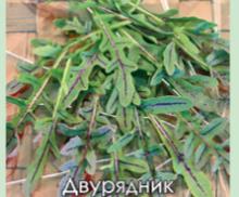 Двурядник тонколистный Язык дракона ( руккола )