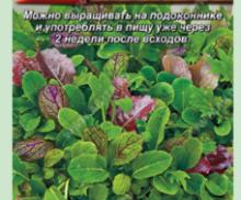 Бэби салат Пак чой, смесь