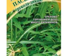 Руккола Пасьянс дикая автор.