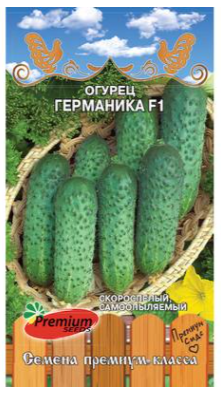 Гостиная