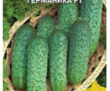 Огурец ГЕРМАНИКА, Премиум Сидс