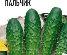 Огурец Пальчик (Гавриш)
