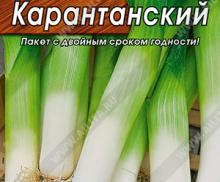 Лук порей Карантанский