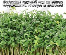 Микрозелень Кресс-салат микс