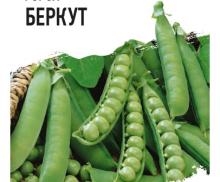 Горох Беркут 6 г ХИТ х3 /ГАВРИШ