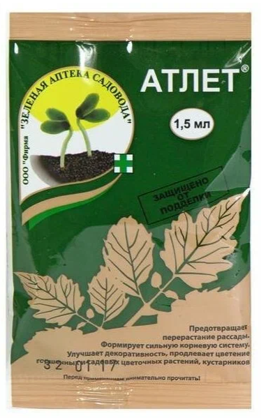 Гостиная