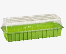 Минипарник д/рассады (с крышкой) без ячеек 33*20*14см (для кассеты 833669) Агроснабритейл