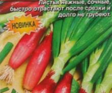 Лук на зелень Красный пучок Аэлита