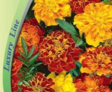 Бархатцы СОКРОВИЩА ЗАМКА, Премиум Сидс