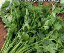 Петрушка Богатырь листовая 2гр Садовита Ц