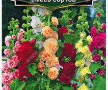 Шток-роза Мажоретт махровая, смесь сортов