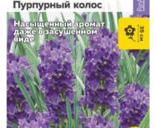 Лаванда Пурпурный колос английская