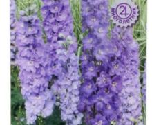 Семена цветов Дельфиниум высокий Мэджик Фонтэйнс Лавендер Вайт Би