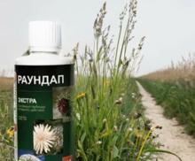 Раундап от сорняков 100мл.